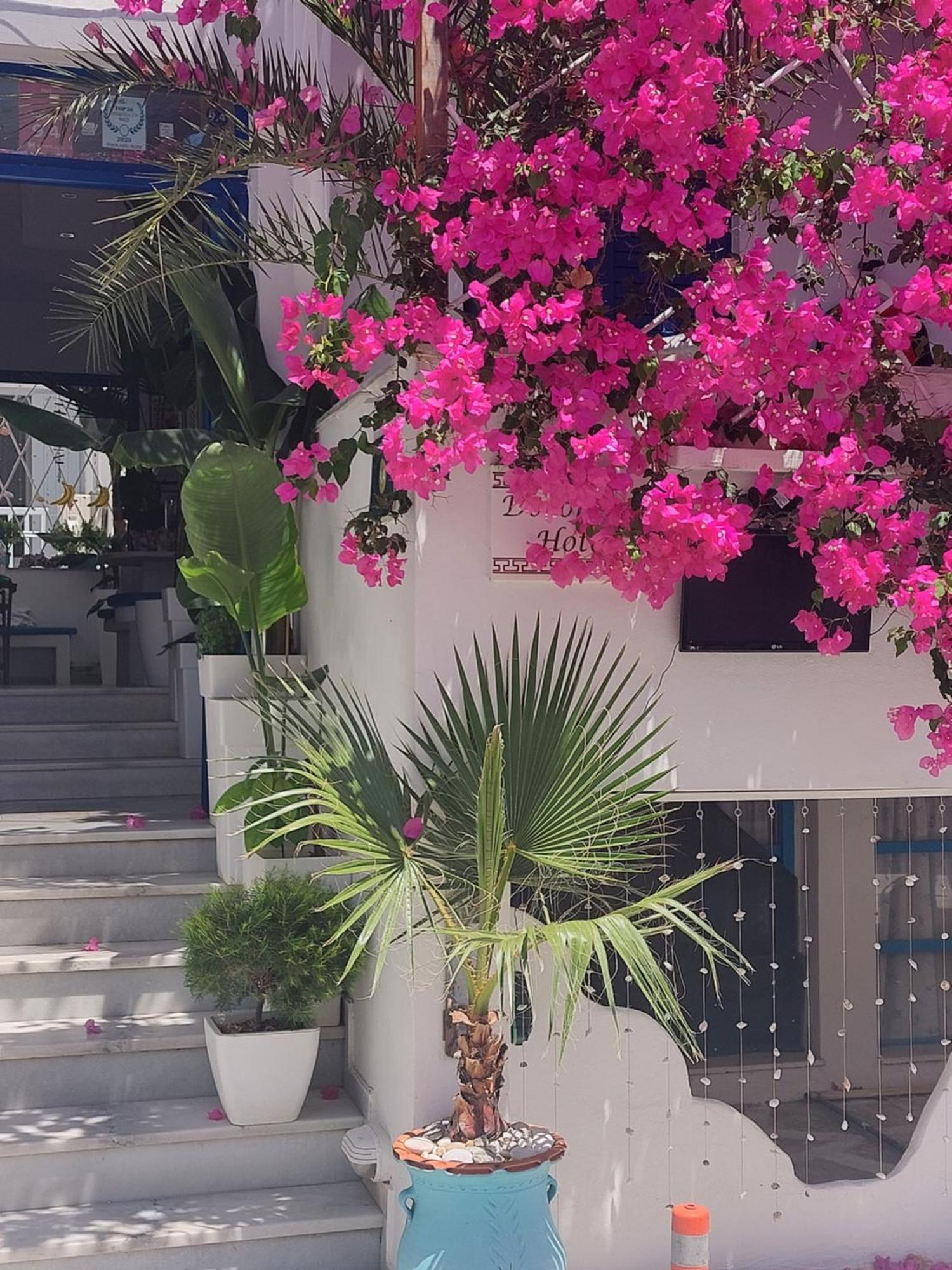 Doron Hotel Delfini Naxos City Extérieur photo
